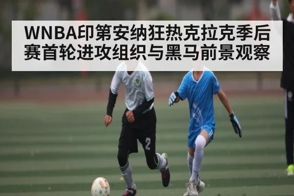 WNBA印第安纳狂热克拉克季后赛首轮进攻组织与黑马前景观察 - kaiyun